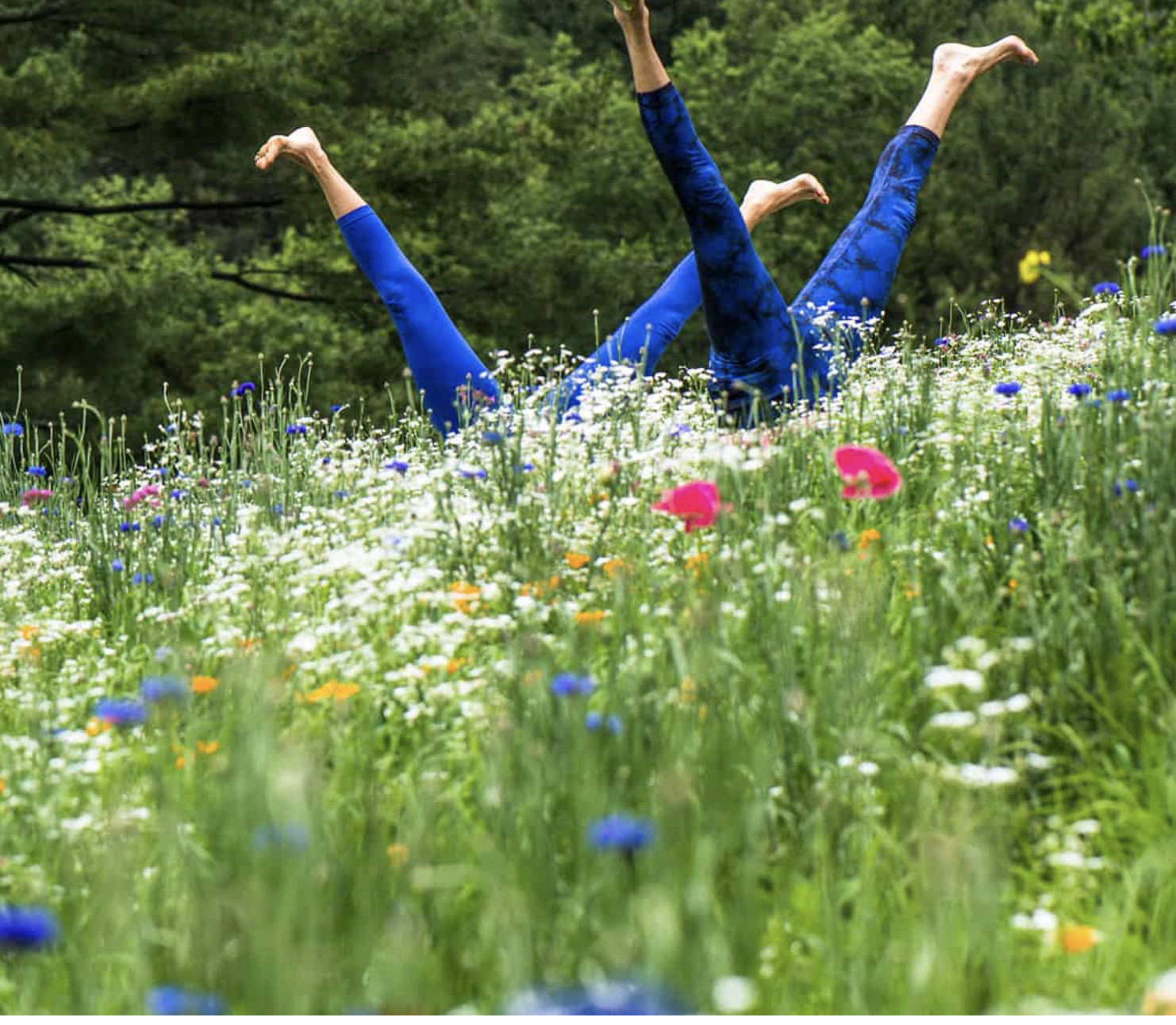 Yoga in the Park